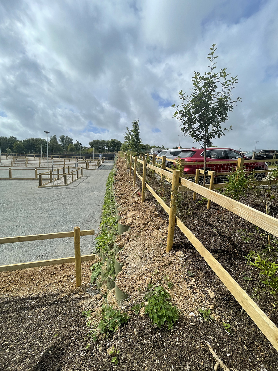 Royal Cornwall Hospital 23